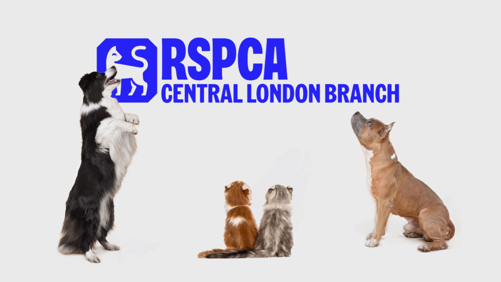 RSPCA Central London Branch